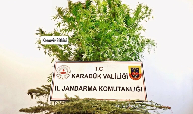 Karabük'te evde kenevir ve esrar bulundu