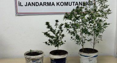 Karabük'te uyuşturucu operasyonu