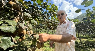 Karadeniz'in ihtiyar delikanlıları topraktan kopamıyorlar