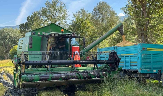 Kastamonu'da 2 bin 200 dekar alanda ekilen çeltiğin hasadına dualarla başlandı