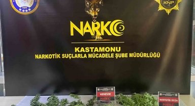 Kastamonu'da uyuşturucu operasyonu: 1 gözaltı