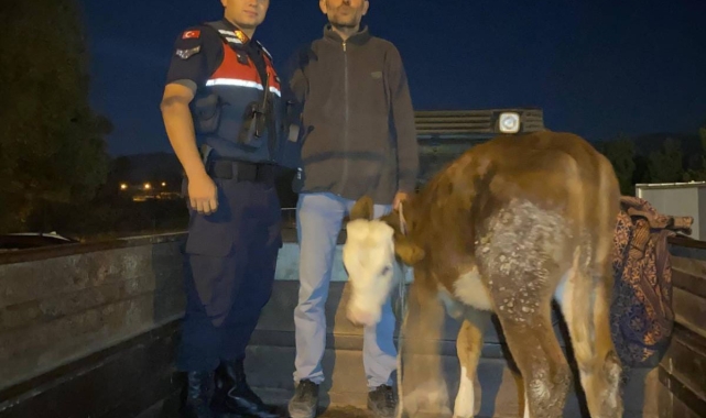 Kayseri'de çalındı, Kahramanmaraş'ta bulundu