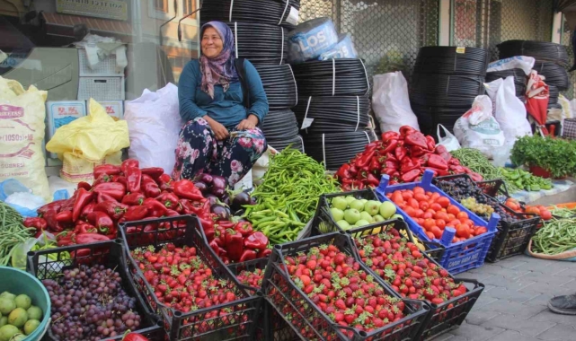 Kaz Dağları'nda yetişen organik ürünler ilçe pazarında satılıyor