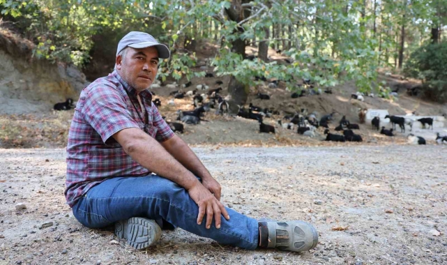 Keçilerin hareketlerini izleye izleye meteoroloji uzmanı oldu