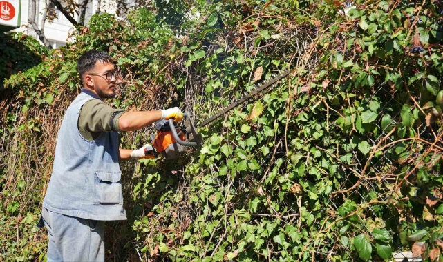 Keçiören'de mevsimlik budama çalışmaları gerçekleştiriliyor