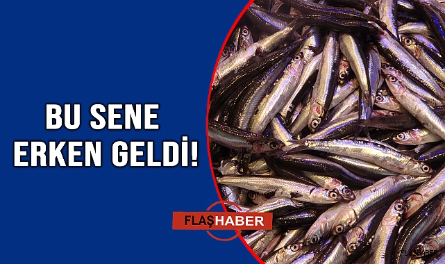 KENDİNİ GÖSTERMEYE BAŞLADI!