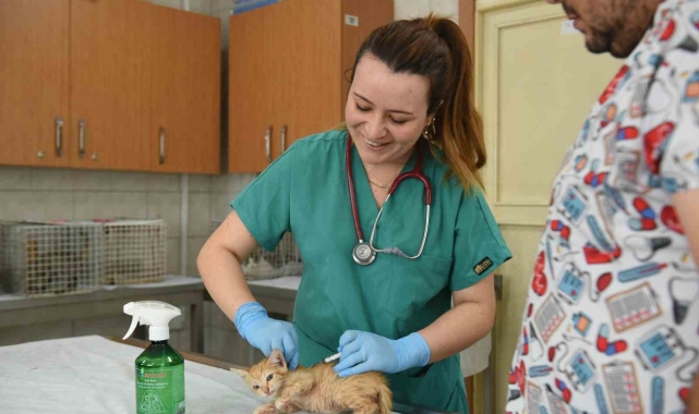 Kepez, Ağustos ayında bine yakın sokak hayvanına kucak açtı