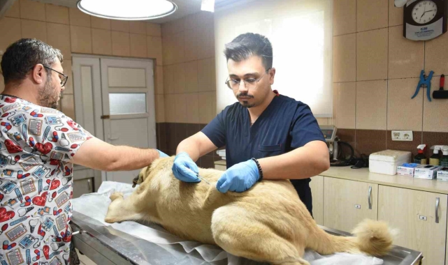 Kepez'den can dosta sıcacık dokunuş