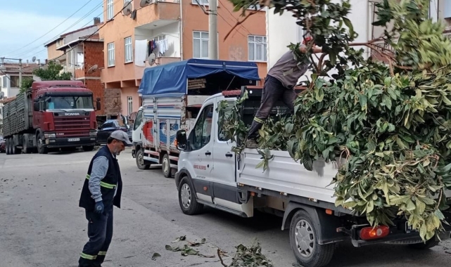Körfez'de yeşil alanlara bakım