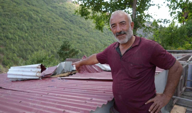 Kümesteki tavukları yemek için çatıya tırmanan ayı hem çatıyı hem de kendini parçaladı