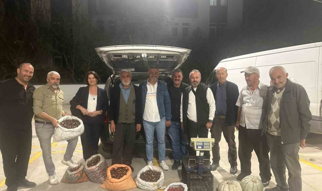 Kuzu kestane pazara indi