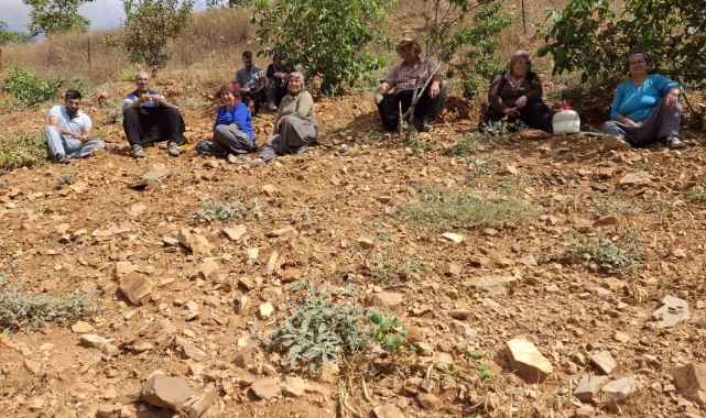 Lezzeti tescilli Tufanbeyli fasulyesi ilçe sınırlarını aştı