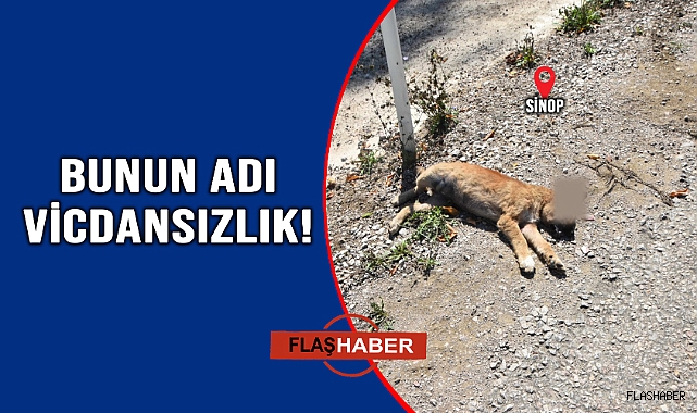 LÜTFEN BİRAZ İNSANLIK!