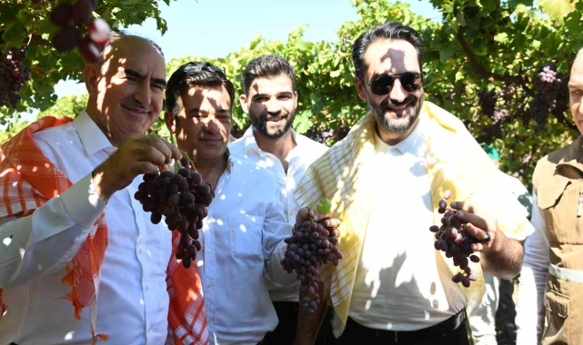 Manisa'da yaklaşık 40 bin aile geçimini bağcılıktan sağlıyor