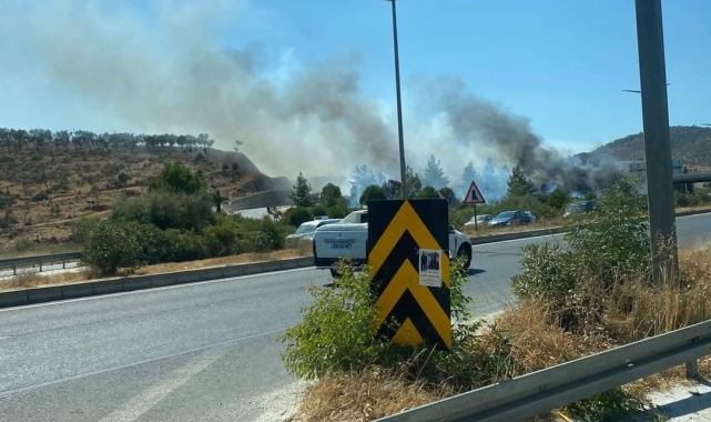 Milas'ta orman yangını