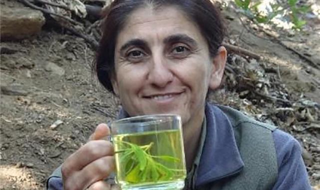 MİT'ten Irak Süleymaniye'de nokta operasyonu: PKK'nın sözde İran Sorumlusu Saliha Akbıyık, etkisiz hale getirildi