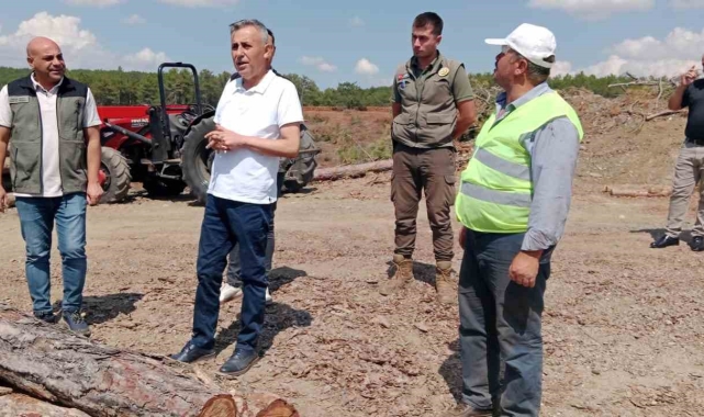 "Müdür Erdal Dingil: "Orman yangınlarına karşı daha duyarlı olmalıyız"
