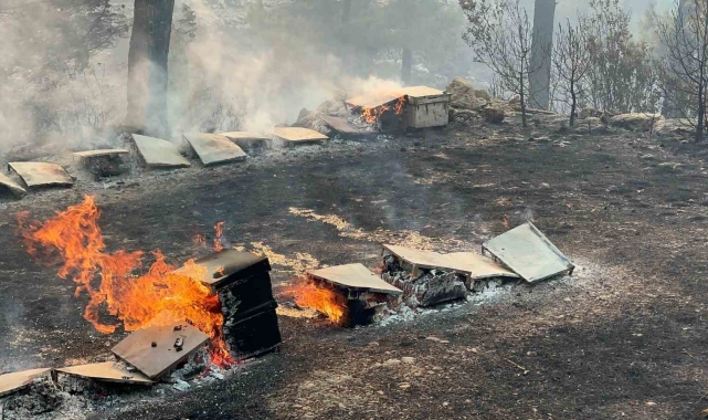 Muğla Büyükşehir'den yangından etkilenen arıcılara destek