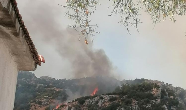 Muğla'da orman yangını