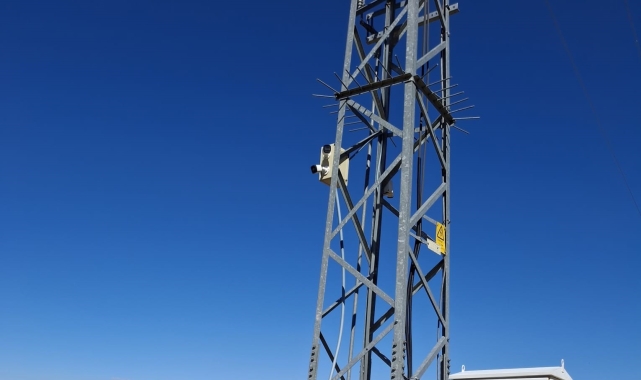 Muhtardan örnek davranış: Ormanlık alanı korumak için güvenlik kamerası kurdu