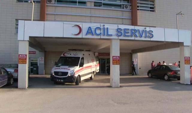 Niğde'de elma ağacından düşen hayatını kaybetti