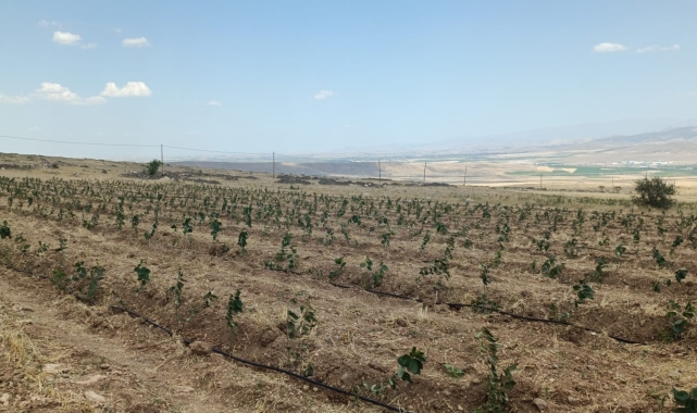 Niğde'de üreticiye 80 milyon 964 bin destek sağlanacak