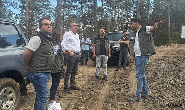 ORMAN GENÇLEŞTİRME ÇALIŞMALARI İNCELENDİ!
