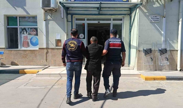 Ormanda gizlenen zanlı JASAT operasyonuyla yakalandı