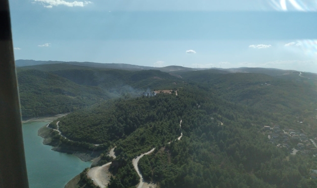 Ormanlık alandaki alevler korkuttu