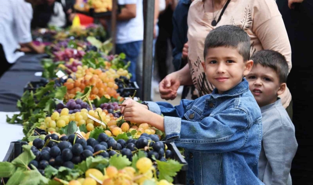 Osmangazi'nin en güzel üzümleri seçildi