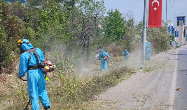 Park ve bahçelerde sonbahar temizliği