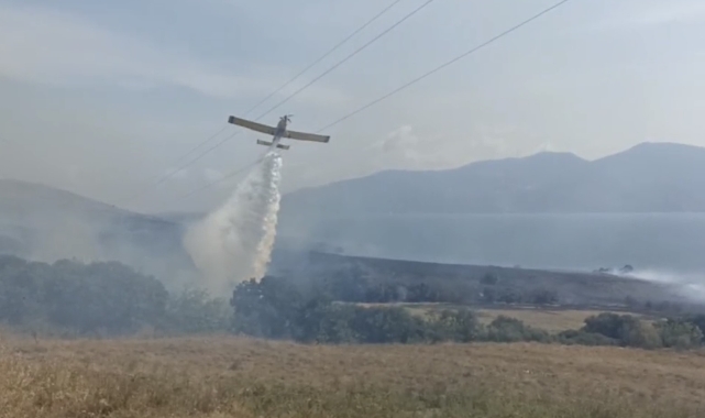 Paşalimanı Adası'nda yangın...Karadan ve havadan müdahale sürüyor