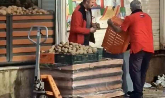 Pendik'te kasa kasa patatesi çöpe döktüler