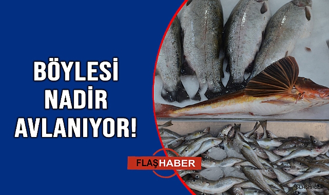 REKOR FİYATA SATIŞTA!