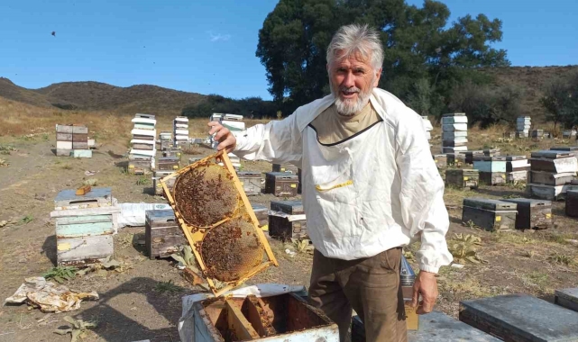 Sahte bal hem sağlığı hem de sektörü olumsuz etkiliyor