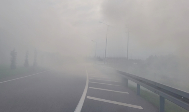 Samsun'da anız yangını sürücülere zor anlar yaşattı