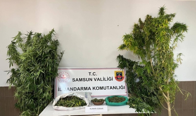 Samsun'da uyuşturucu operasyonunda 1 zanlı yakalandı
