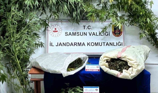 Samsun'da jandarma 8 kilo kubar esrar ele geçirdi