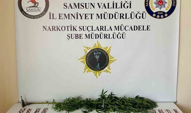 Samsun'da narkotik uygulaması: 28 kişi yakalandı