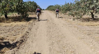 Şanlıurfa'da fıstık hırsızları suçüstü yakalandı