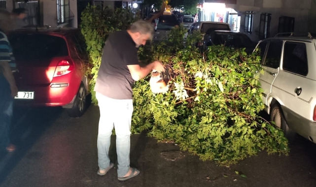 Şehzadeler Belediyesi ekipleri devrilen ağaçları kaldırdı