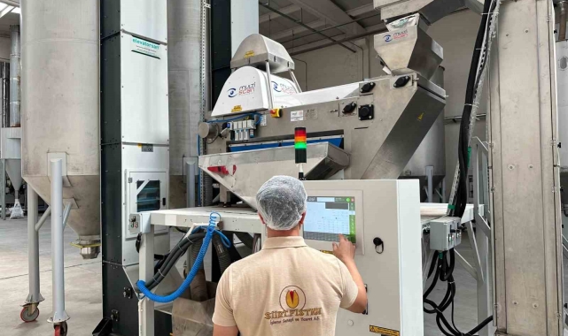 Siirt Fıstığına yeni makineyle ayrım süreci