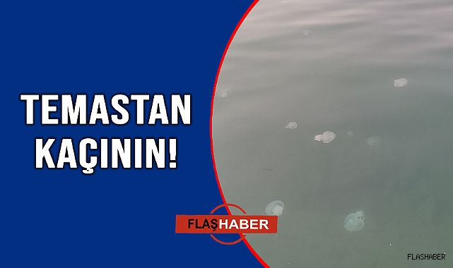 SİNOP SAHİLİNİ SARDI!