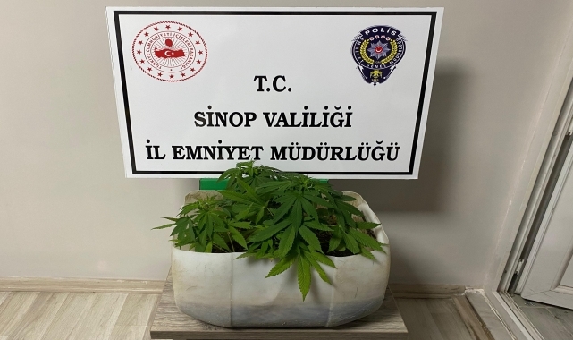 Sinop'ta düzenlenen uyuşturucu operasyonunda 2 kişi tutuklandı