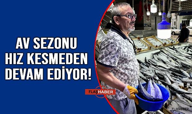 SİNOP TEZGAHLARINDA BALIK BOLLUĞU!