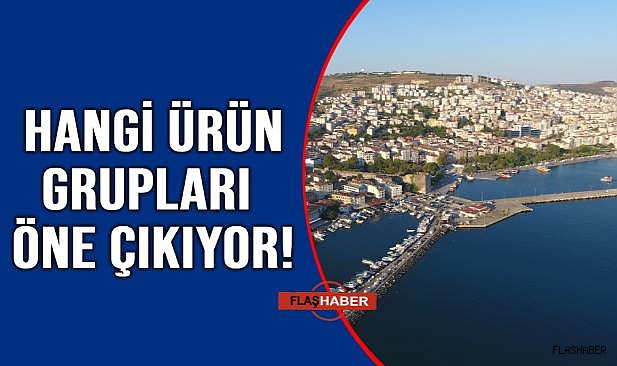 SİNOP'UN DIŞ TİCARET VERİLERİ AÇIKLANDI!