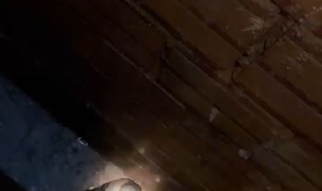 Sivas&#039;ta güvercinler yolunu şaşırdı, bacada mahsur kalan güvercinleri itfaiye kurtardı