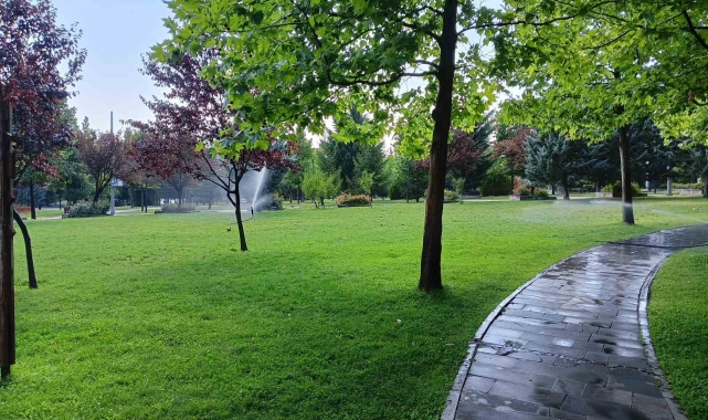 Sokak köpeğinin saldırdığı yaşlı adam bacağından yaralandı