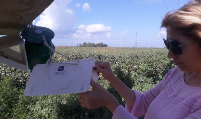 Söke'de tarımsal zararlılarla mücadele kapsamında yoğun denetim