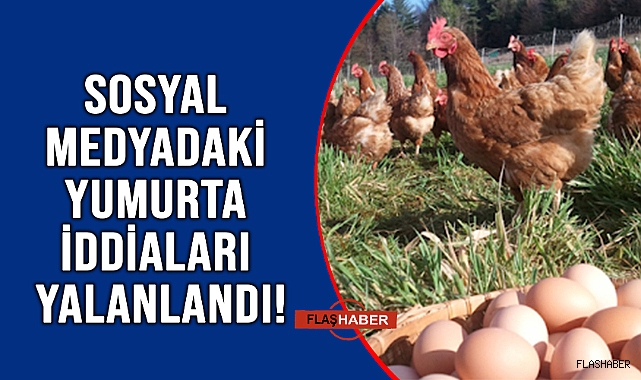 TARIM BAKANLIĞI'NDAN YUMURTA AÇIKLAMASI!